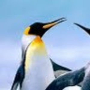 Meet your Posher, Mariam